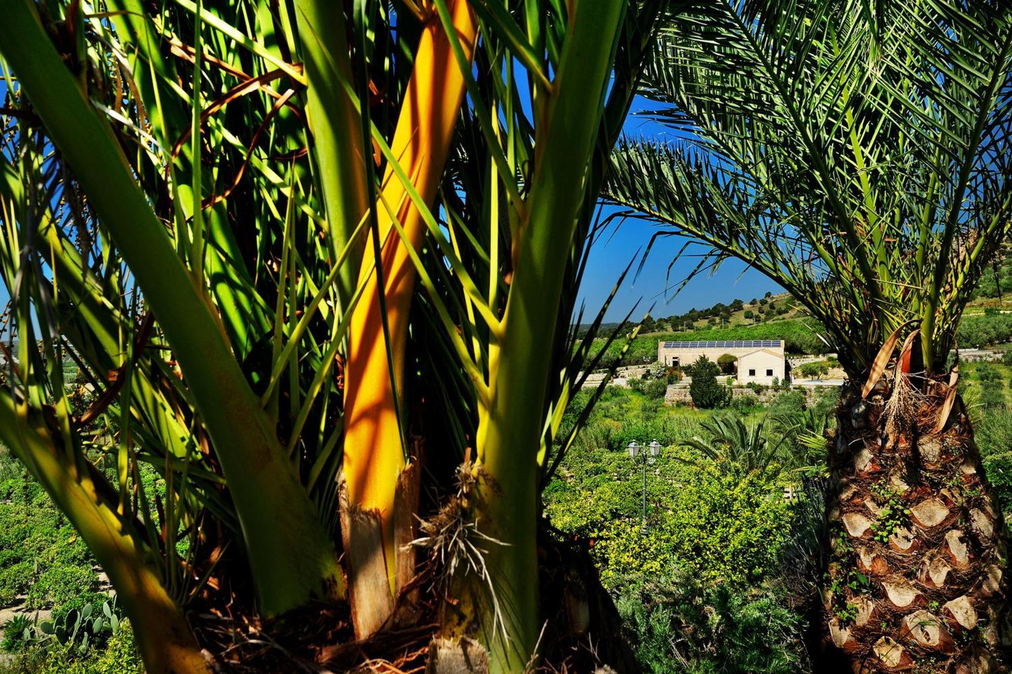Kallikoros Country Resort & Spa Noto Kültér fotó