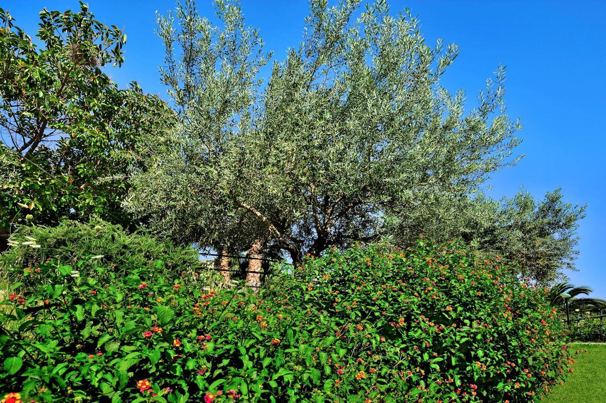 Kallikoros Country Resort & Spa Noto Kültér fotó