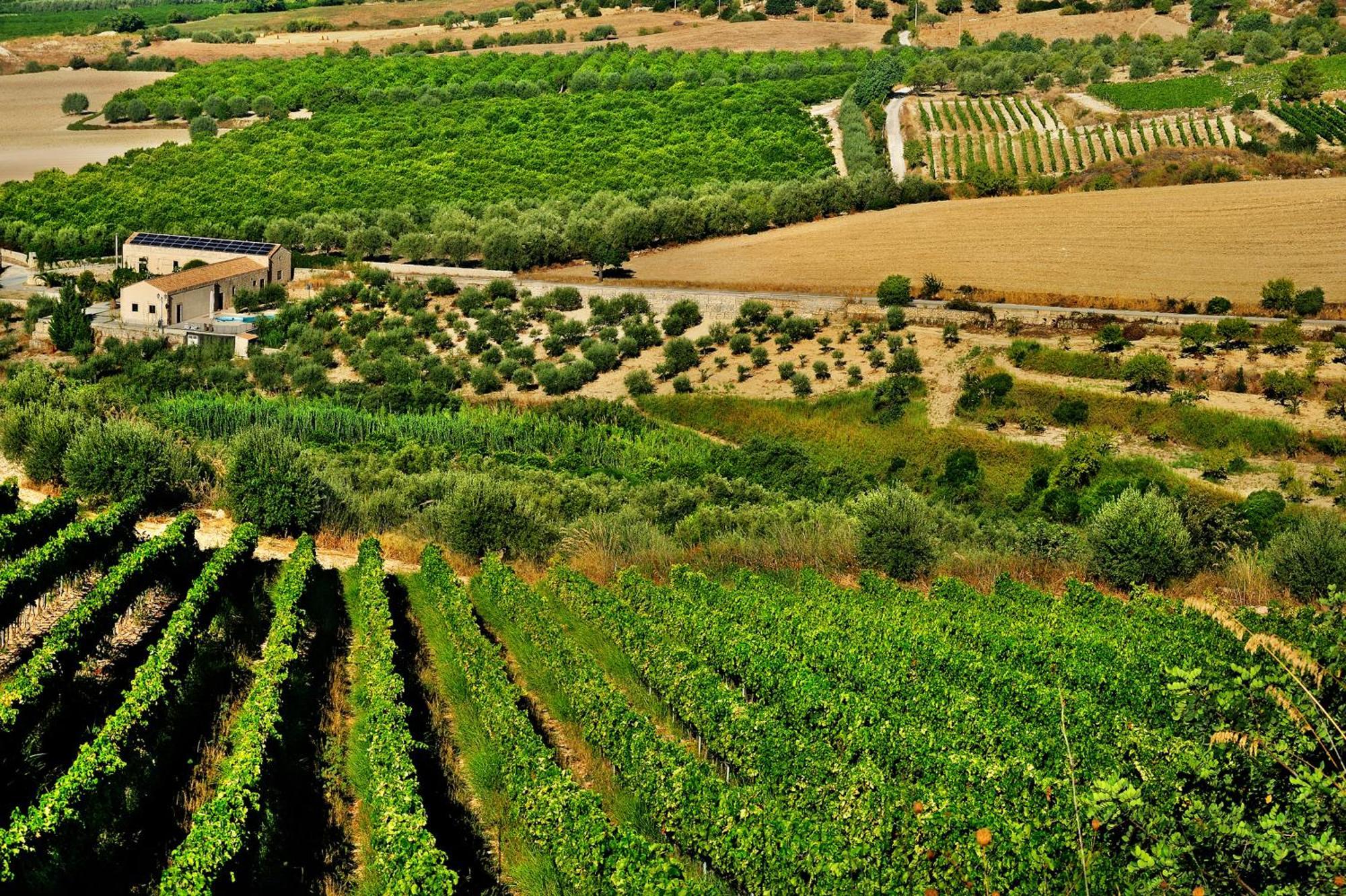 Kallikoros Country Resort & Spa Noto Kültér fotó