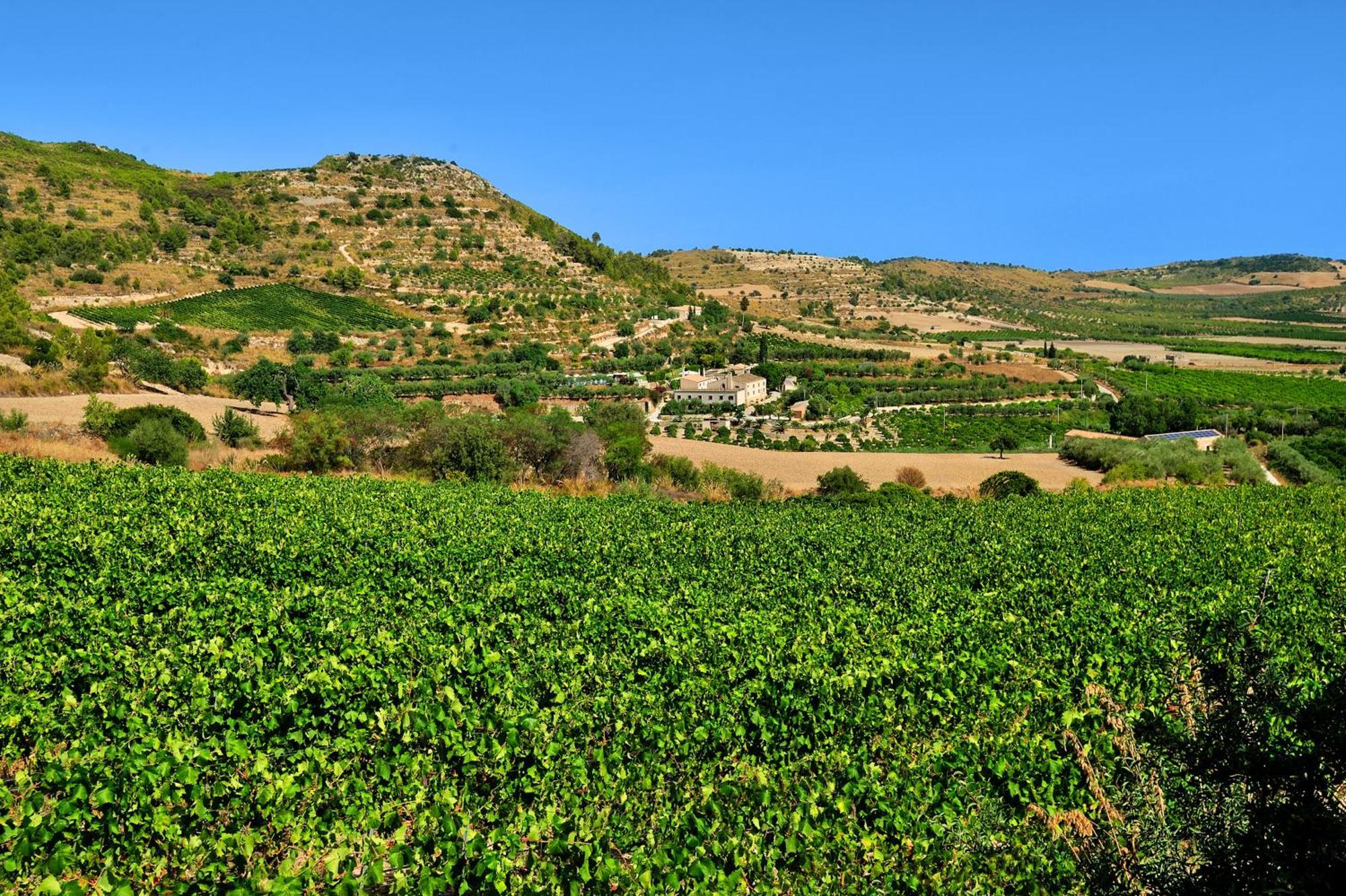Kallikoros Country Resort & Spa Noto Kültér fotó
