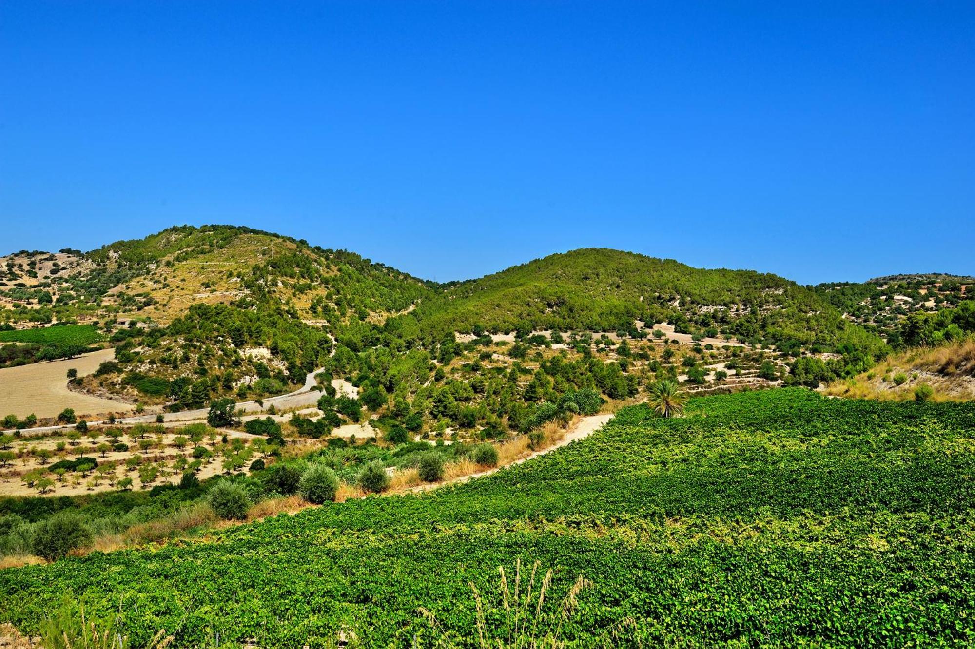 Kallikoros Country Resort & Spa Noto Kültér fotó