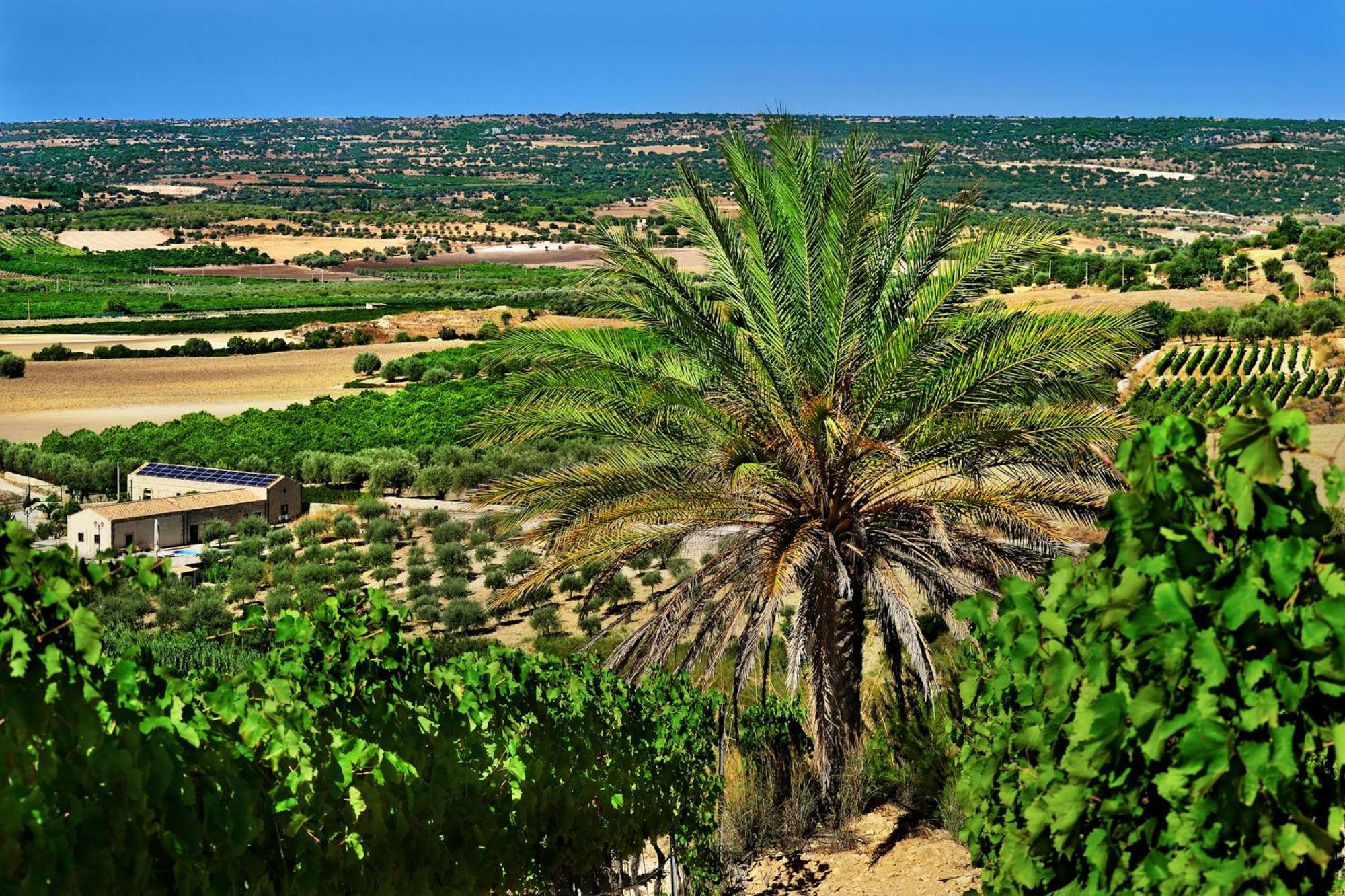 Kallikoros Country Resort & Spa Noto Kültér fotó