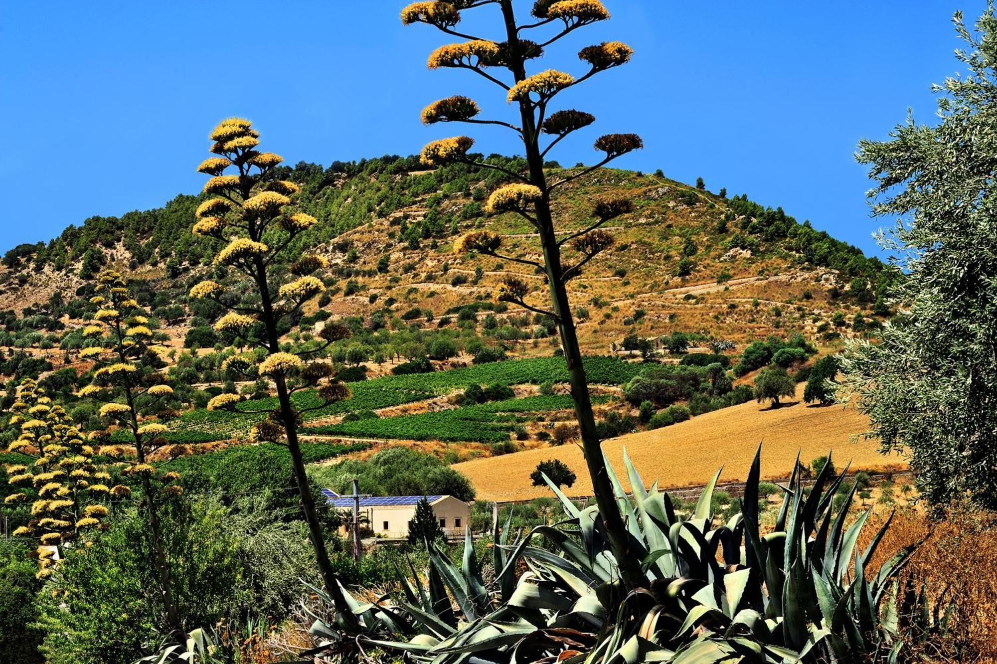 Kallikoros Country Resort & Spa Noto Kültér fotó