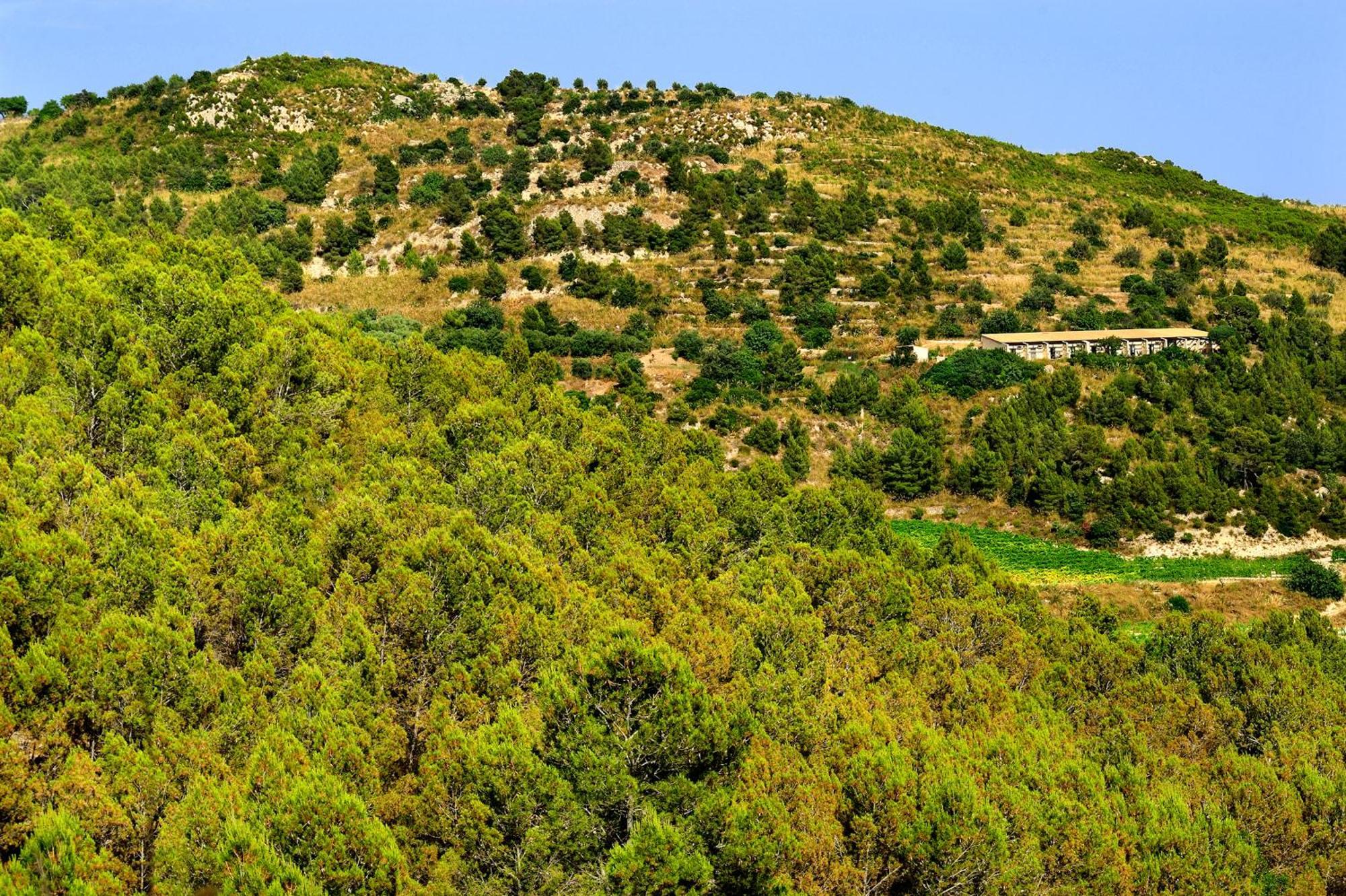 Kallikoros Country Resort & Spa Noto Kültér fotó