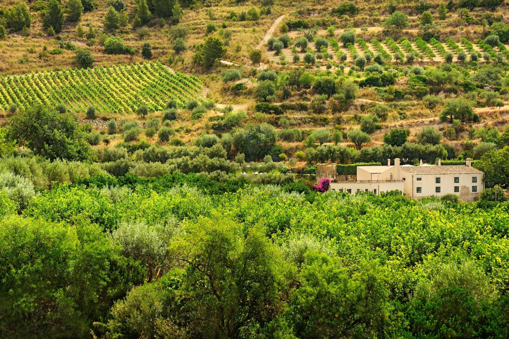 Kallikoros Country Resort & Spa Noto Kültér fotó