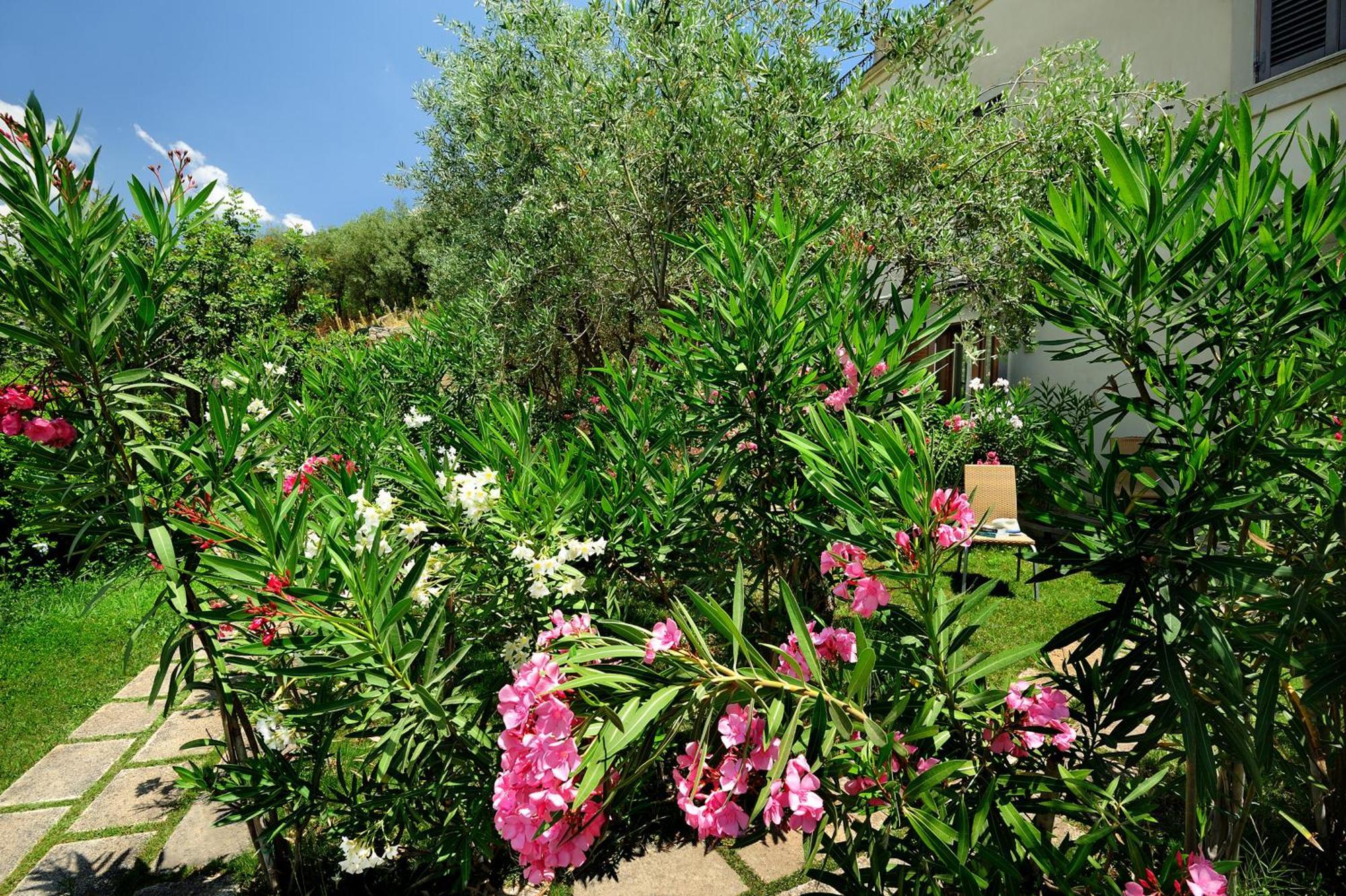 Kallikoros Country Resort & Spa Noto Kültér fotó