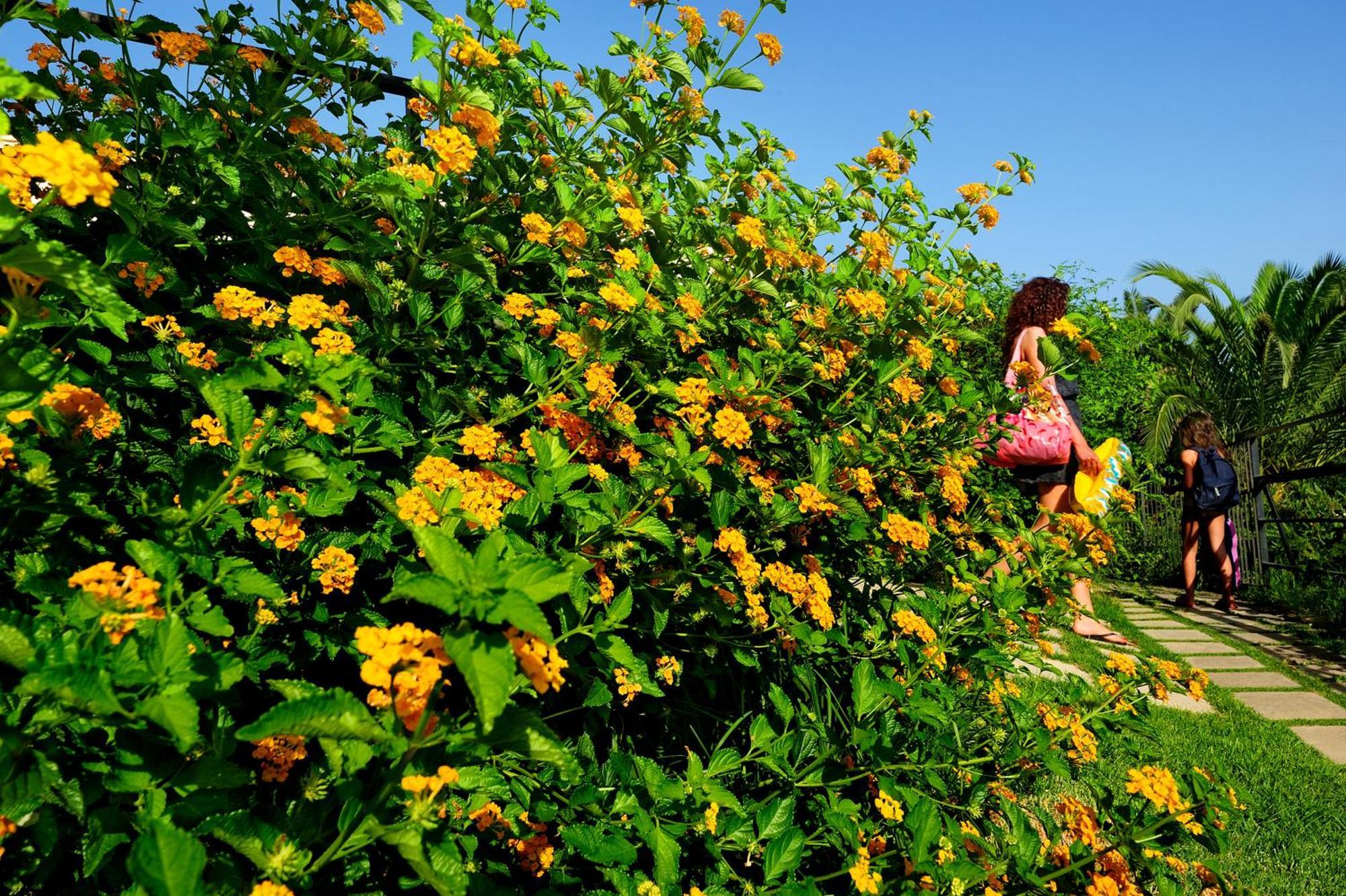 Kallikoros Country Resort & Spa Noto Kültér fotó