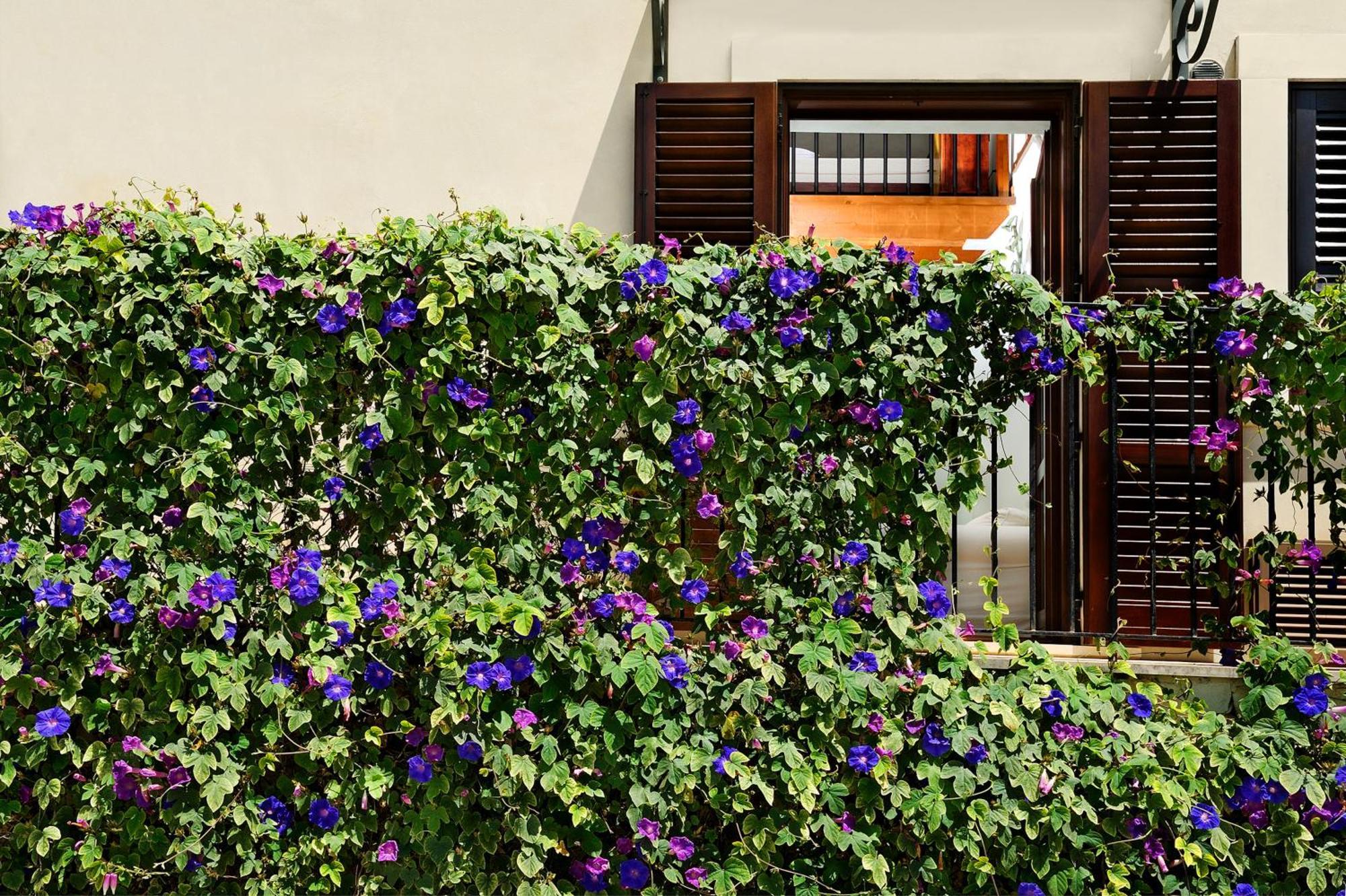 Kallikoros Country Resort & Spa Noto Kültér fotó