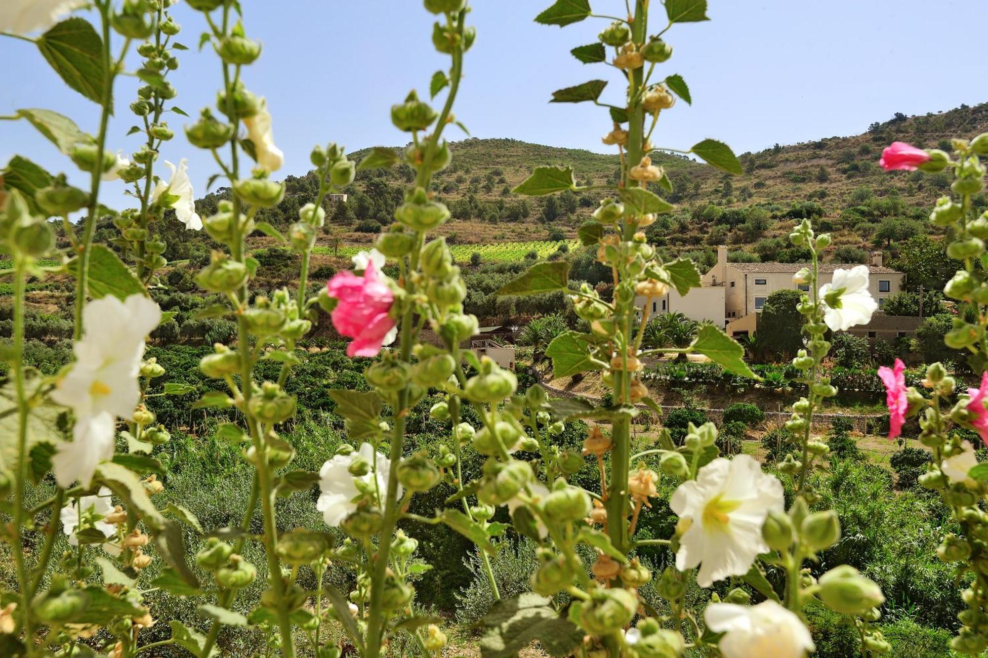 Kallikoros Country Resort & Spa Noto Kültér fotó