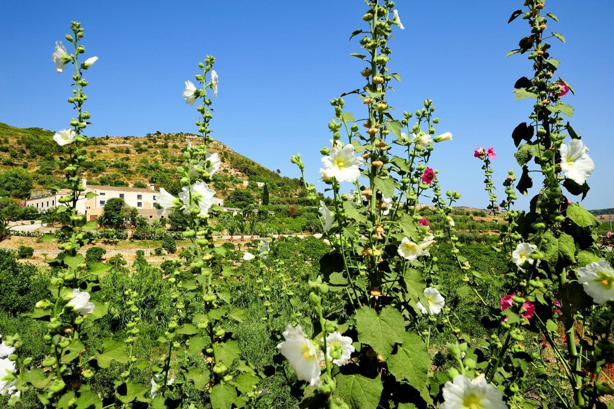 Kallikoros Country Resort & Spa Noto Kültér fotó