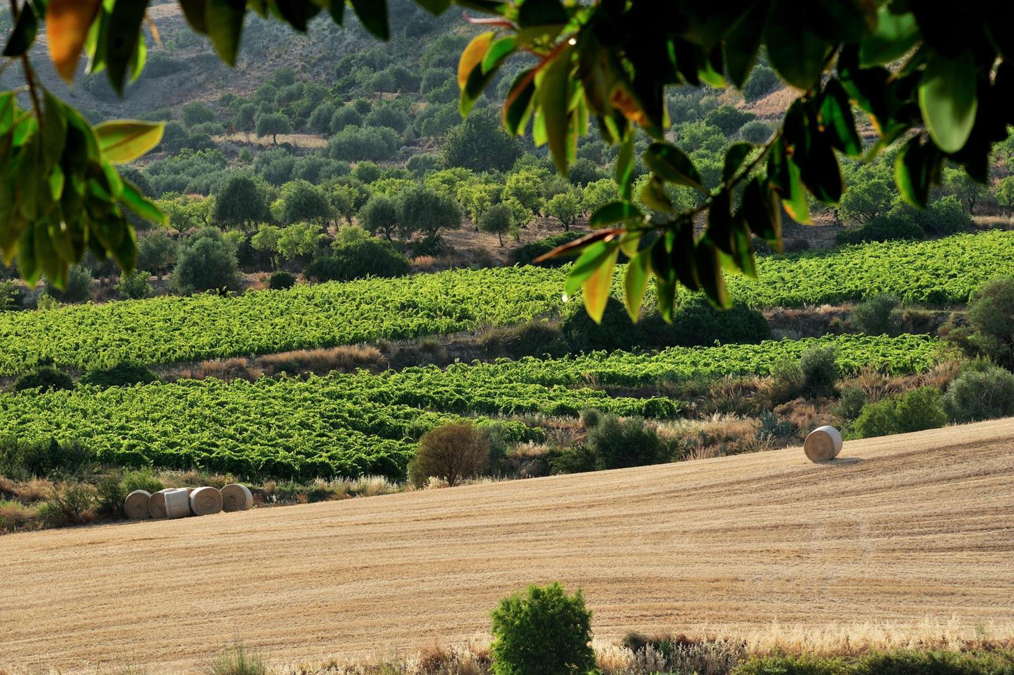 Kallikoros Country Resort & Spa Noto Kültér fotó