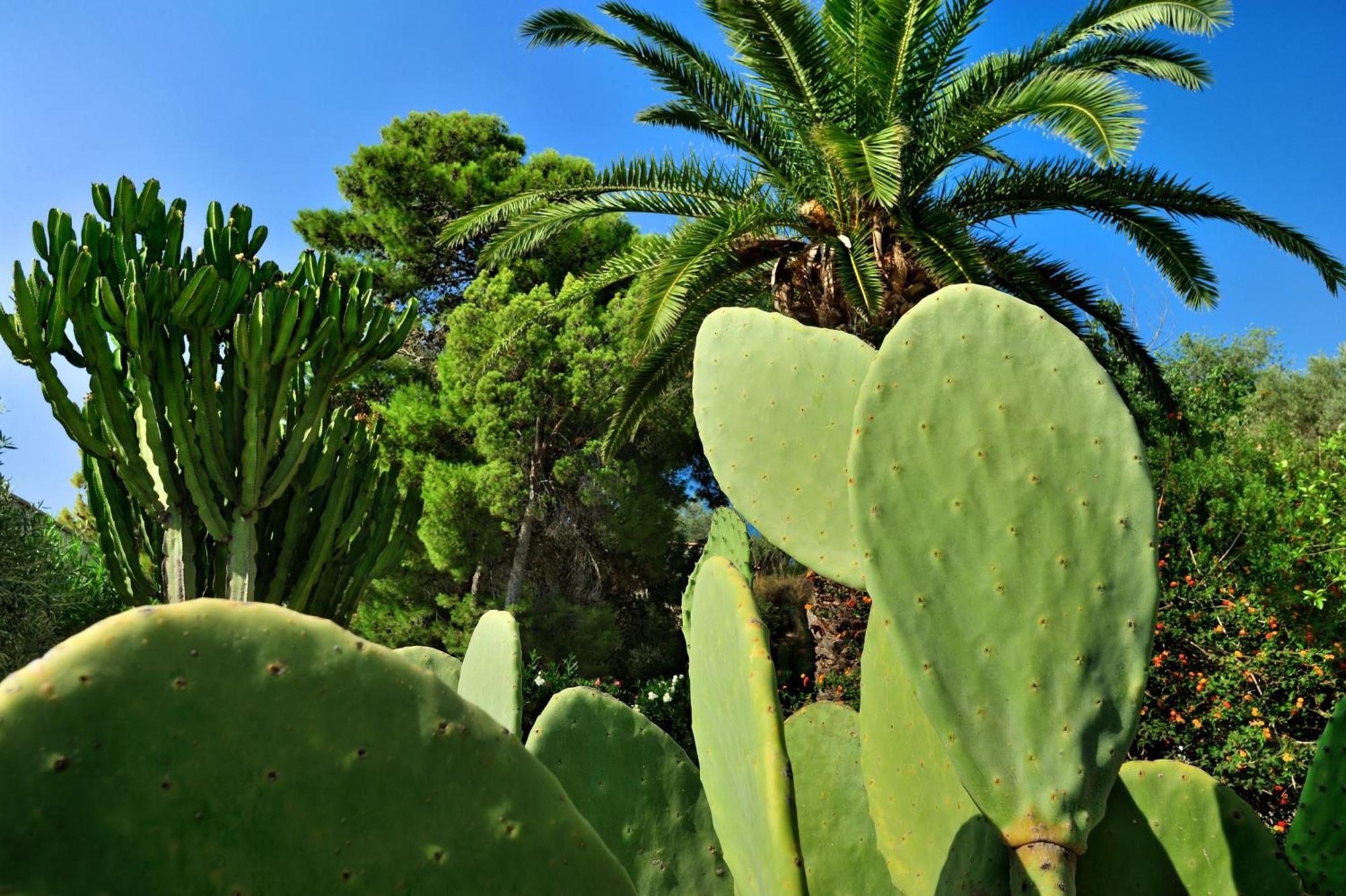 Kallikoros Country Resort & Spa Noto Kültér fotó