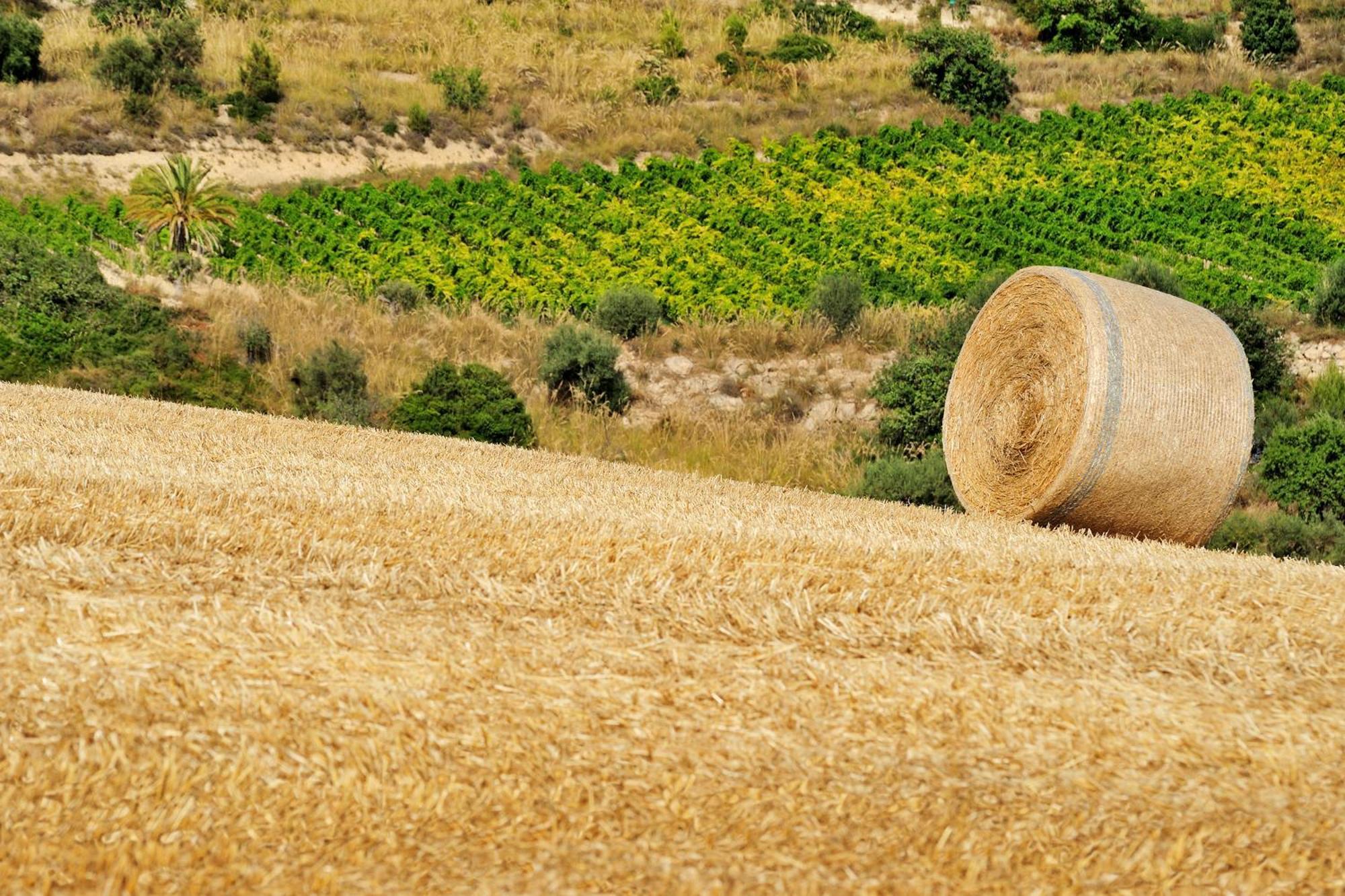 Kallikoros Country Resort & Spa Noto Kültér fotó